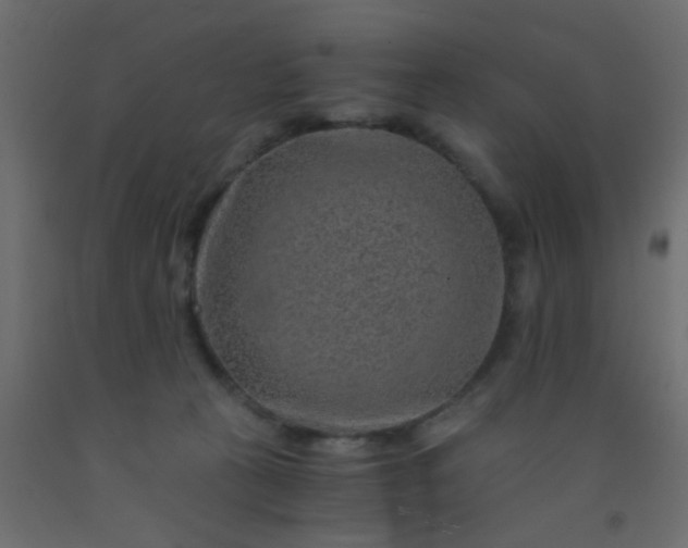 X0000093100273200710101544