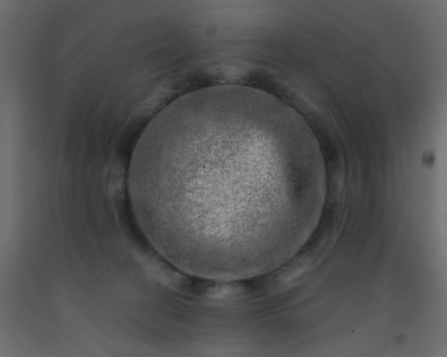 X0000093100274200710101544