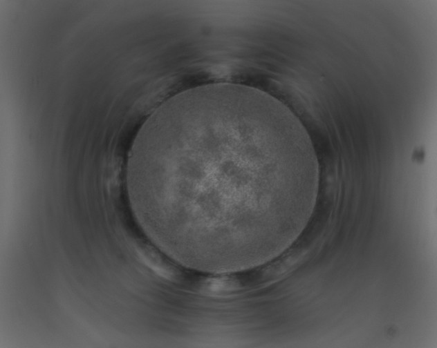 X0000093100275200710101544
