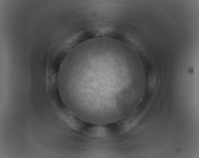X0000093100276200710101544