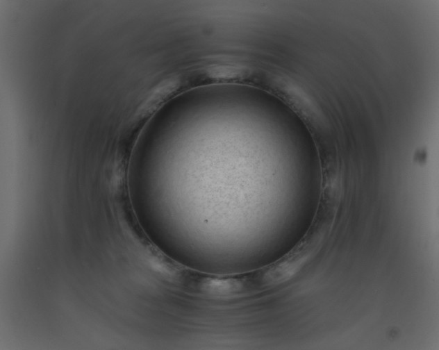 X0000093100277200710101544