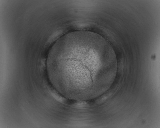 X0000093100278200710101544