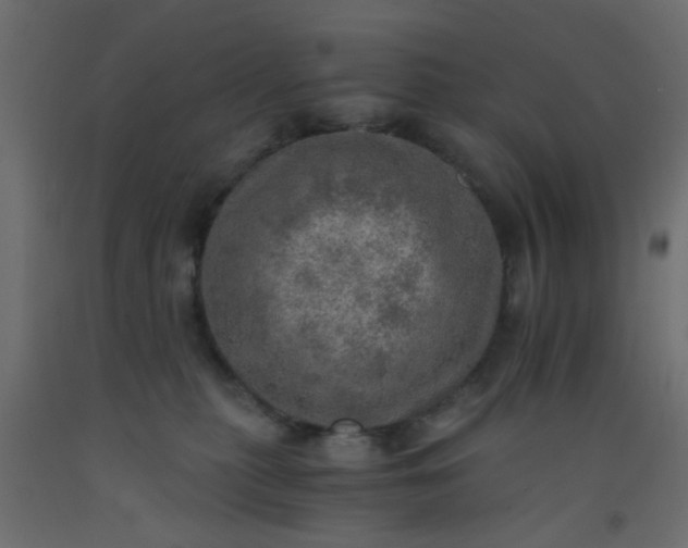X0000093100279200710101544