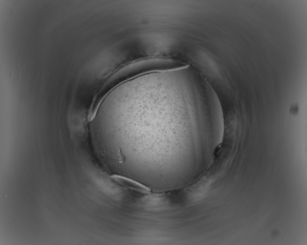 X0000093100280200710101544
