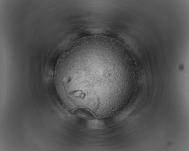 X0000093100281200710101544