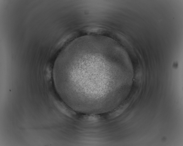 X0000093100282200710101544