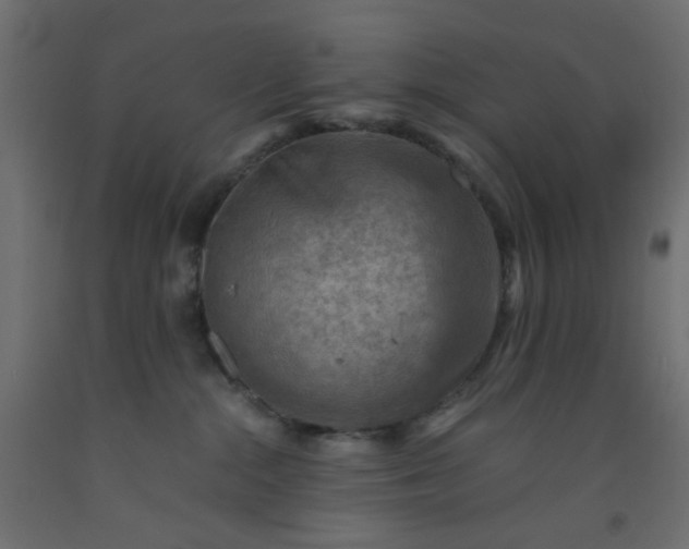 X0000093100284200710101544