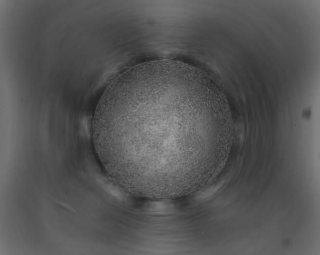 X0000093100286200710101544