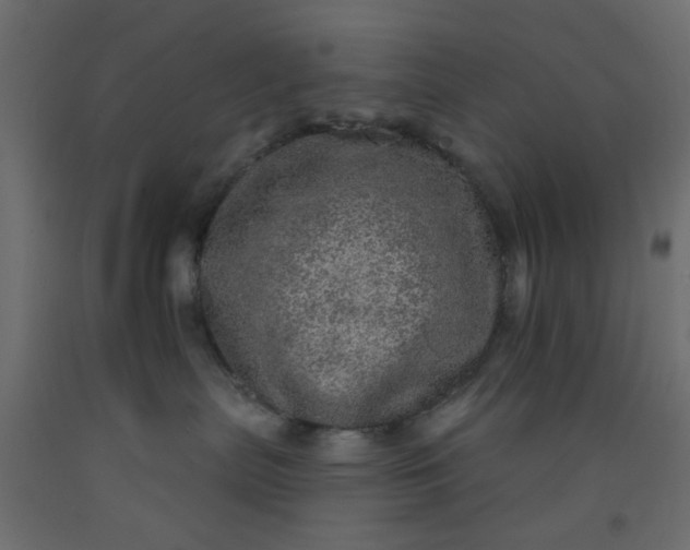 X0000093100287200710101544