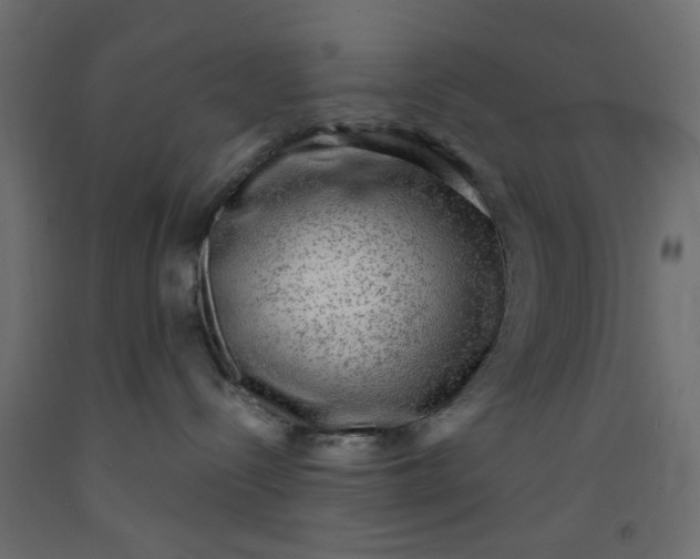 X0000093100288200710101544
