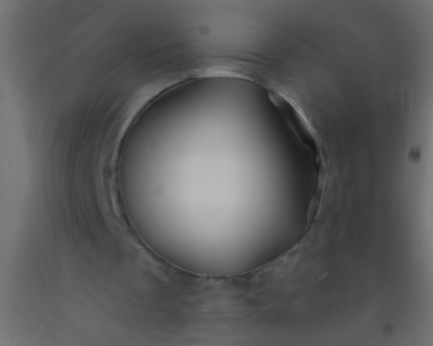 X0000093100289200710101544
