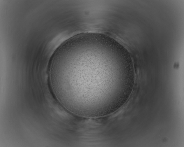 X0000093100290200710101544