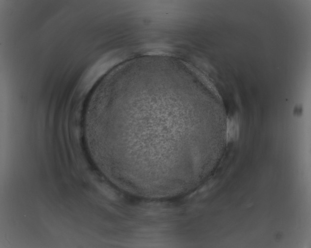 X0000093100291200710101544