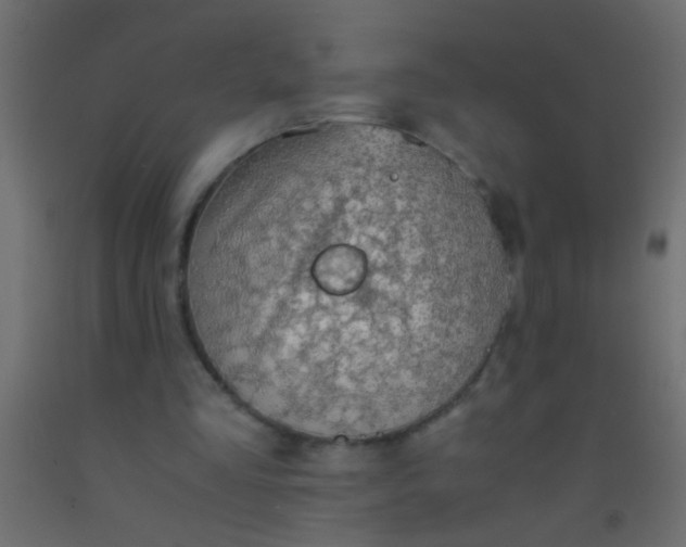 X0000093100293200710101543