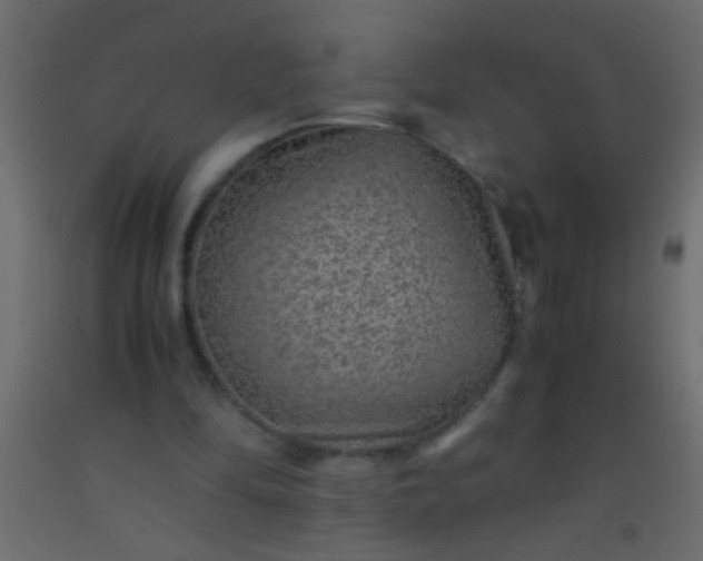 X0000093100294200710101543