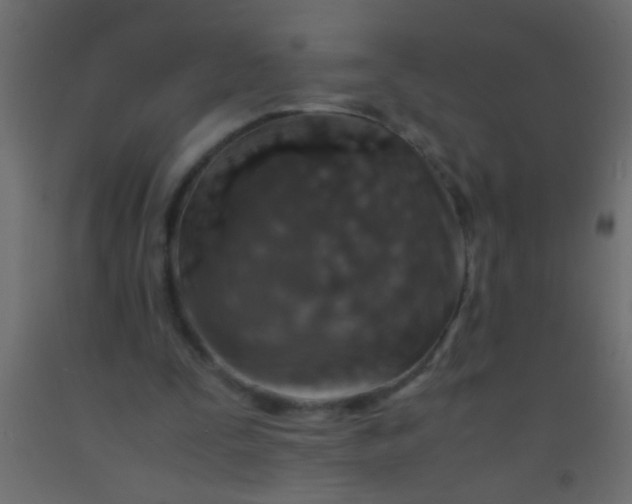 X0000093100295200710101543