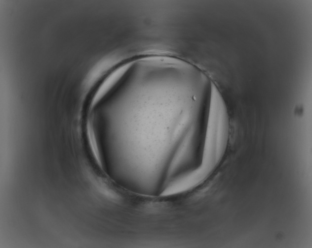 X0000093100296200710101543