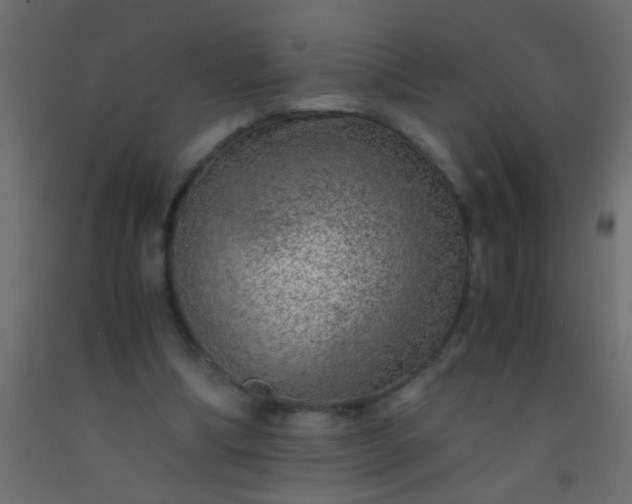 X0000093100298200710101543