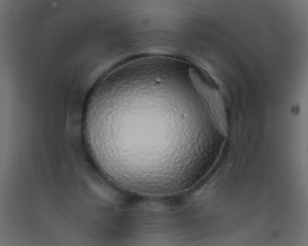 X0000093100299200710101543