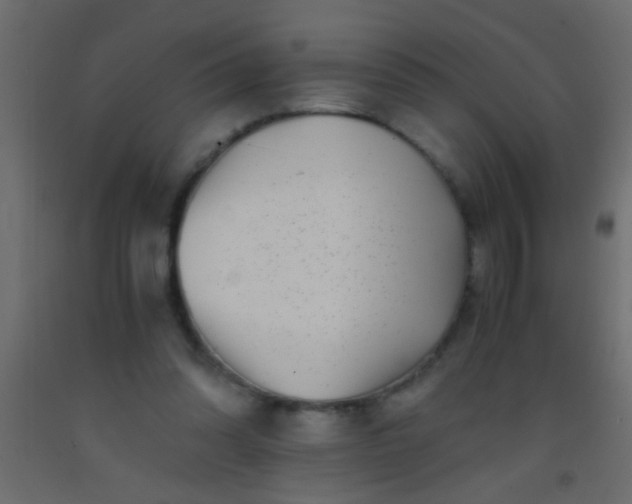 X0000093100302200710101543