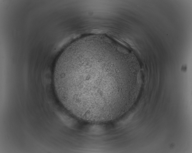 X0000093100303200710101543