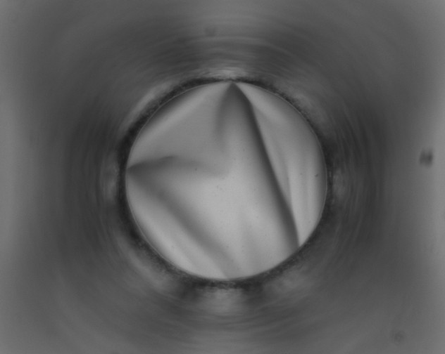 X0000093100304200710101543
