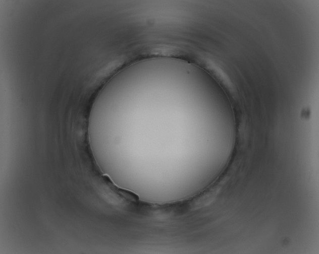 X0000093100305200710101543