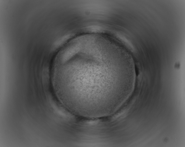 X0000093100306200710101543