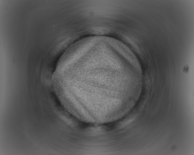 X0000093100307200710101543