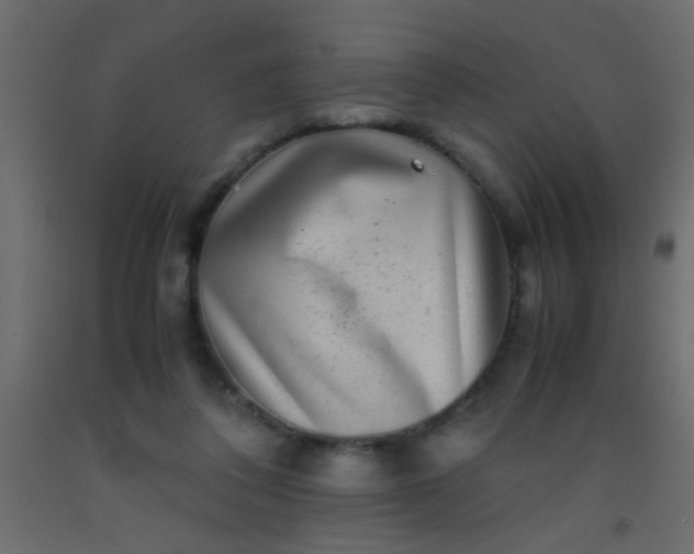 X0000093100308200710101543