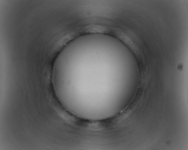 X0000093100309200710101543