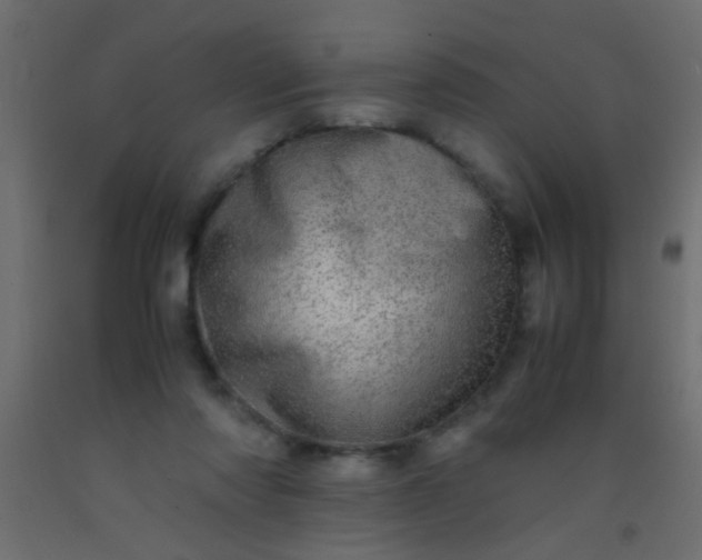 X0000093100310200710101543