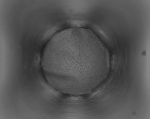 X0000093100314200710101543