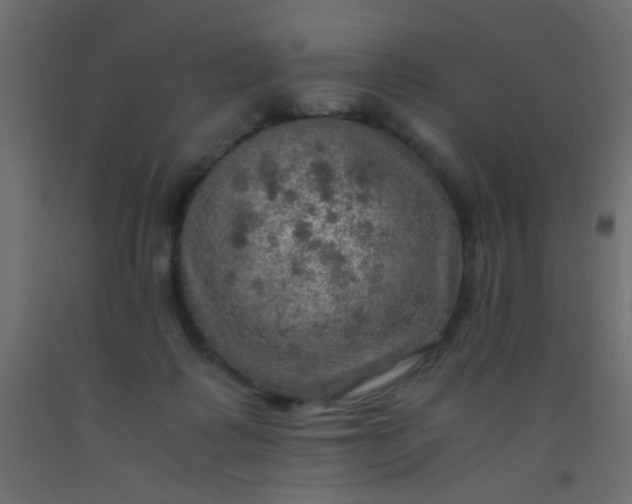 X0000093100315200710101543