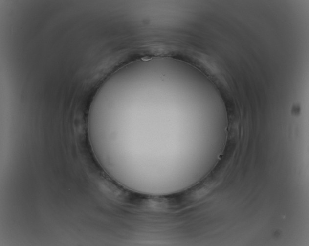 X0000093100317200710101543