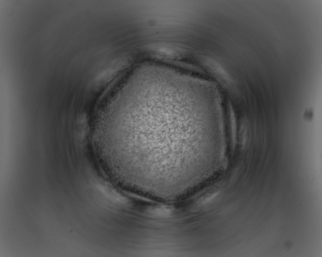 X0000093100318200710101543