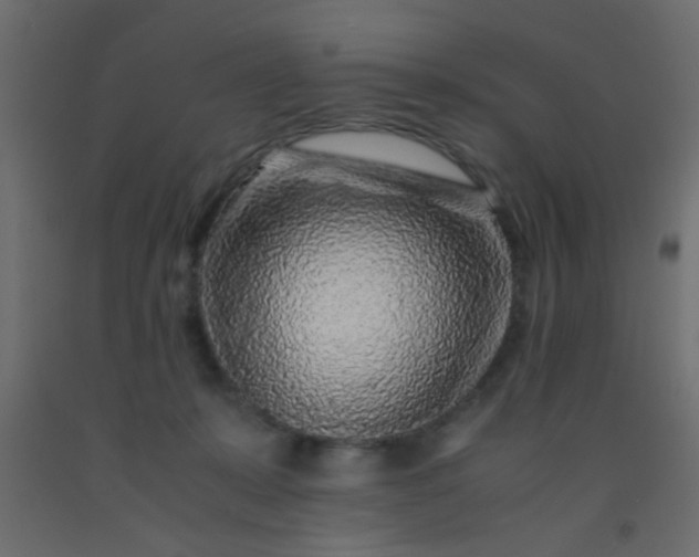 X0000093100319200710101543