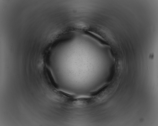 X0000093100320200710101543