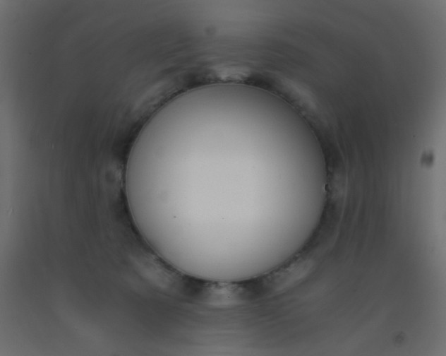 X0000093100321200710101543