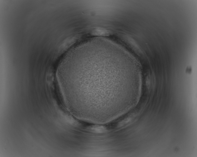 X0000093100322200710101543