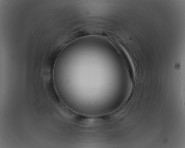 X0000093100323200710101543