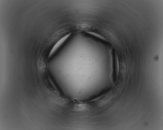 X0000093100324200710101543