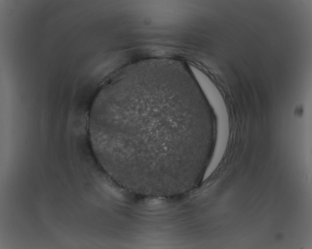 X0000093100325200710101543