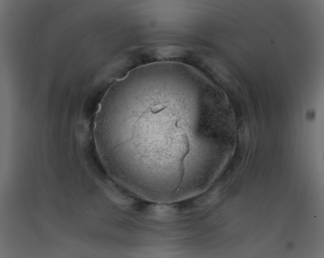 X0000093100327200710101543