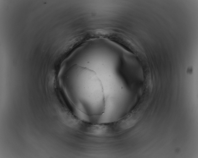X0000093100328200710101543