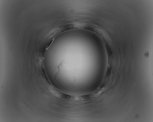 X0000093100329200710101543