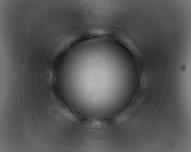 X0000093100330200710101543