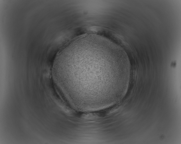 X0000093100331200710101543