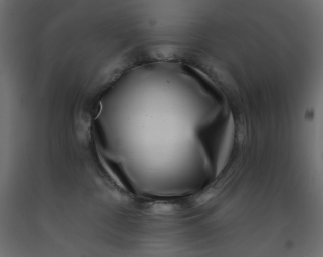 X0000093100332200710101543