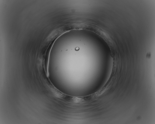 X0000093100333200710101543
